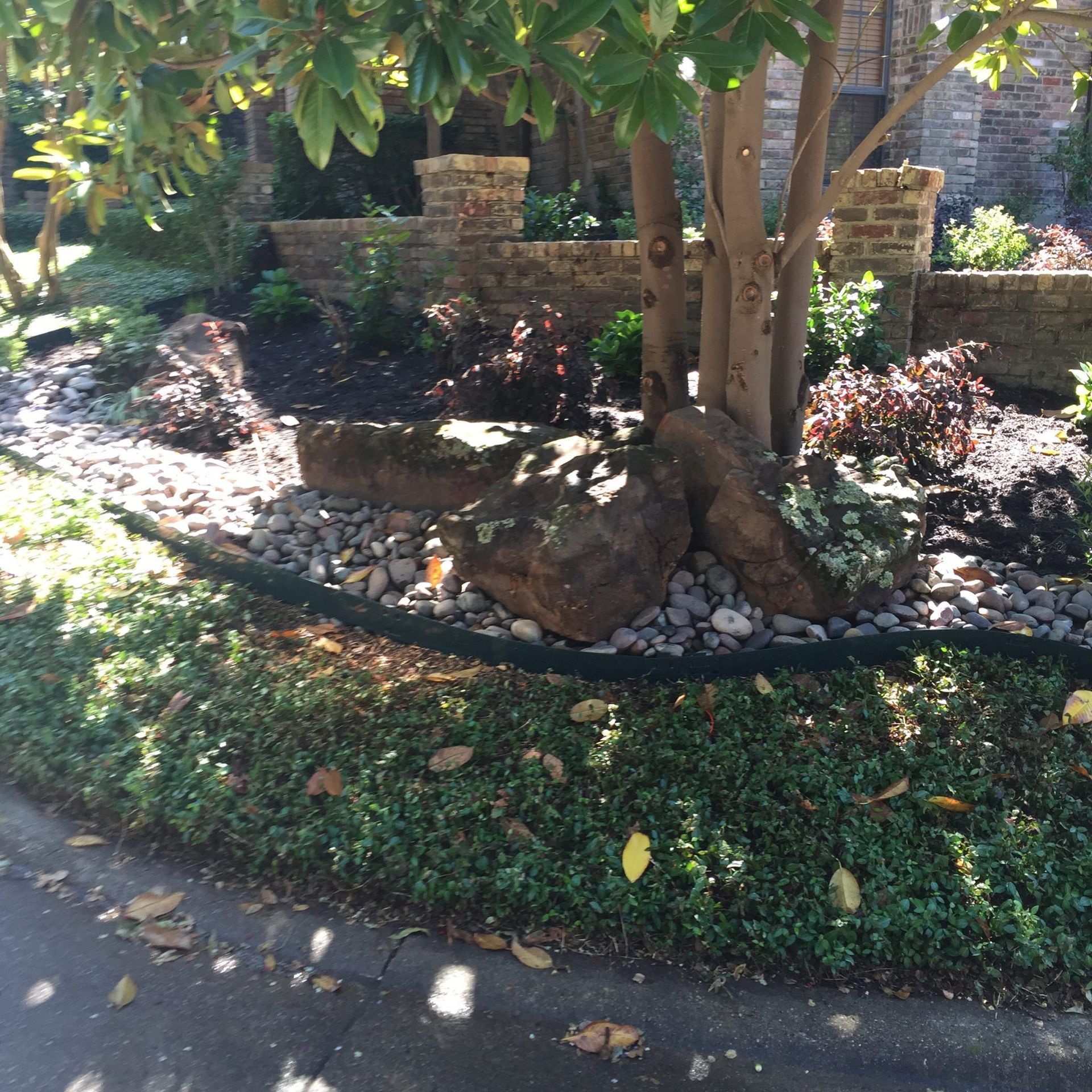 Green foliage frames a tree with stone accents, bordered by a brick wall and street curb.