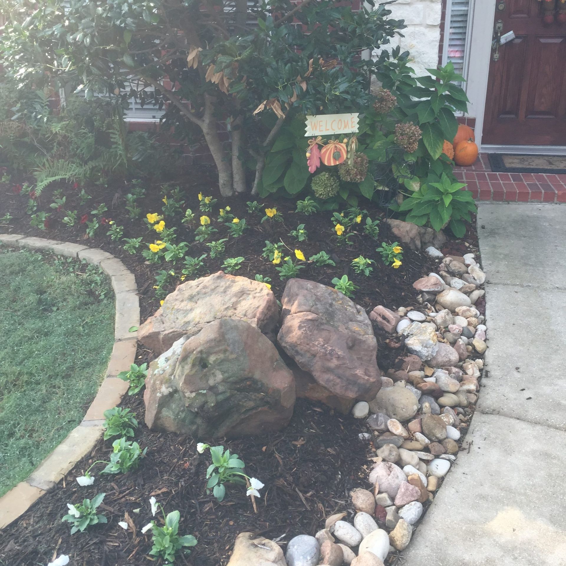 Garden bed with large rocks, mulch, and colorful flowers.