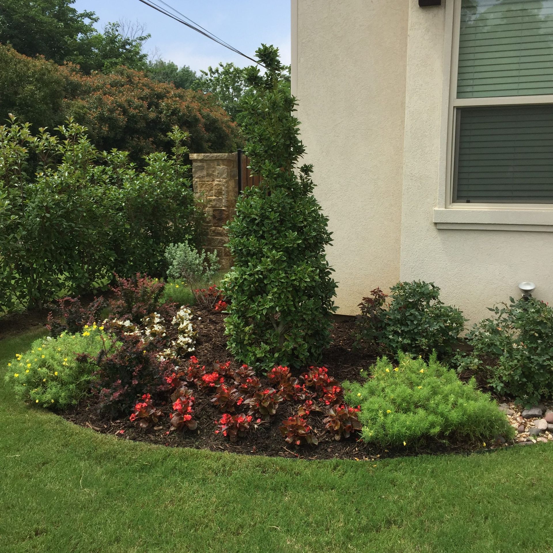 Colorful flower bed in front of a beige house; green grass, various plants, and trees.