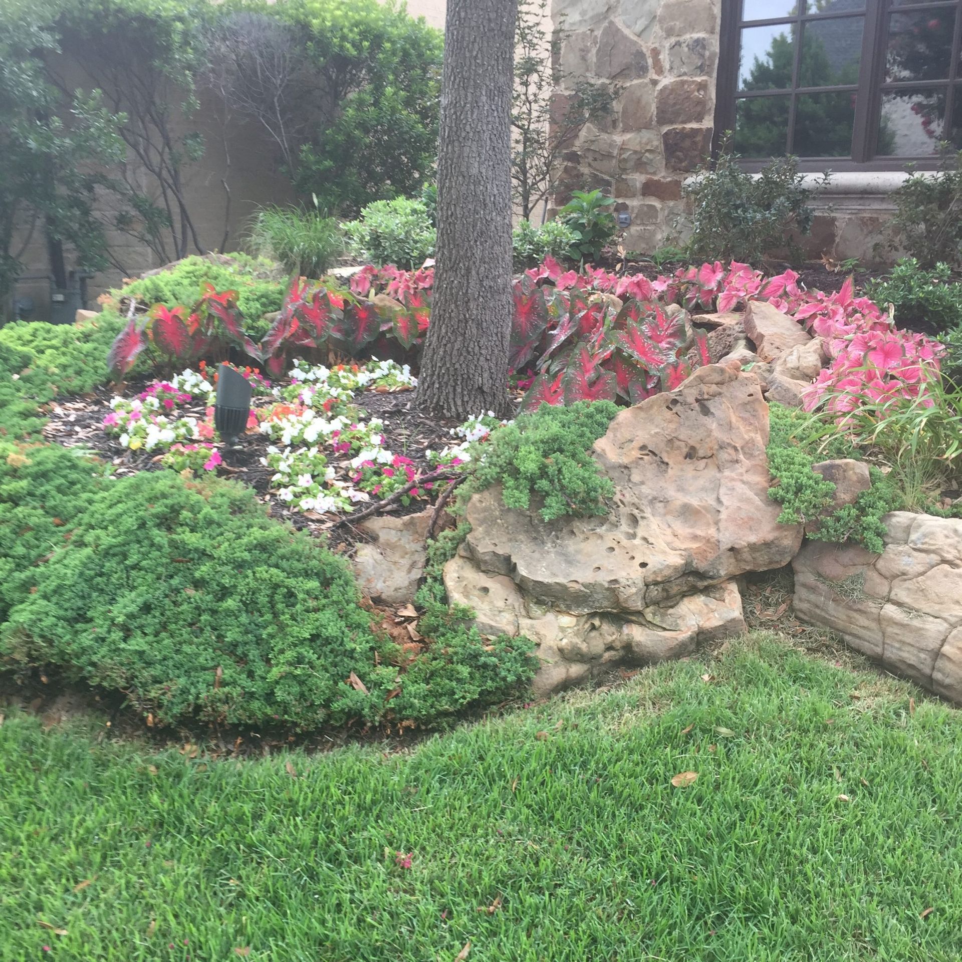 Garden bed with colorful flowers, green bushes, rocks, and a tree trunk, in front of a stone building.