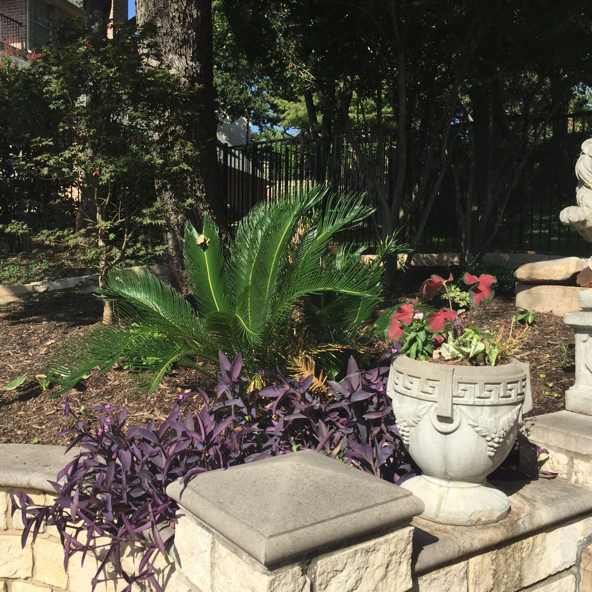 A vibrant garden bed with purple plants, a cycad, and a decorative planter with red flowers.