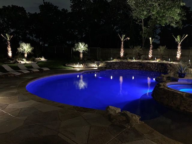 Nighttime view of a pool and landscaping, illuminated with blue pool lights and spotlights on palm trees.