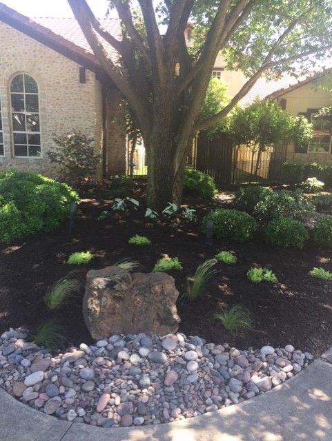 Landscaped tree base with a rock and gravel border, surrounded by green shrubs and dark mulch.