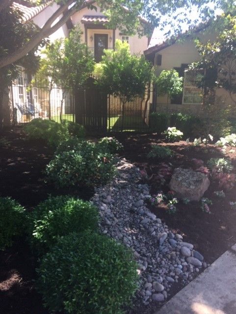 A rock-lined garden bed with greenery, trees, and houses in the background.
