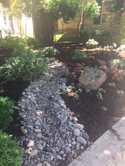 A rock-lined dry creek bed flows through a landscaped garden, bordered by plants, mulch, and a small rock.