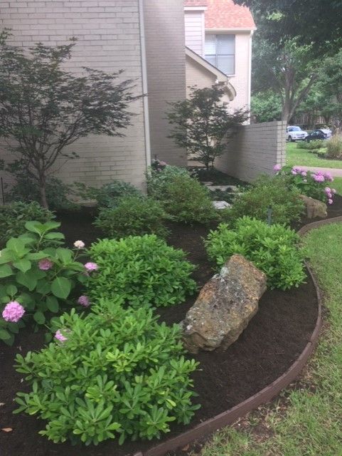 A landscaped garden bed with green shrubs, pink flowers, and a large boulder in front of a building.