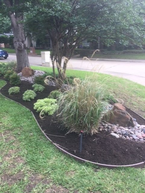 Landscaped garden bed with mulch, rocks, green plants, and a tree.