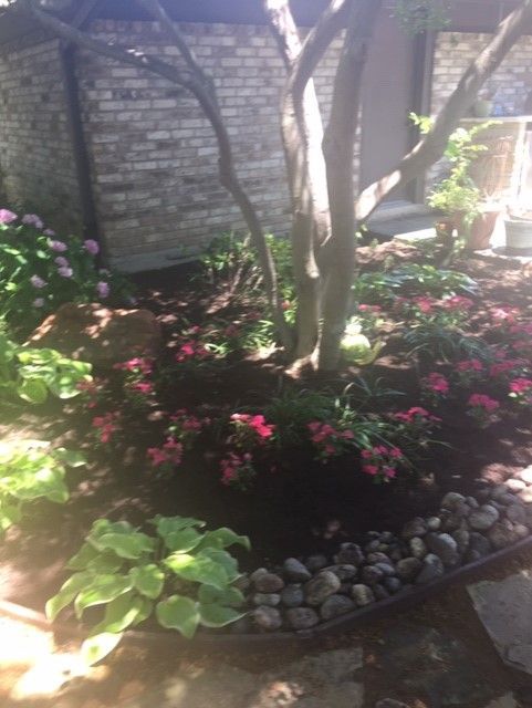 Garden bed with flowers and hostas around a tree, edged with rocks, near a brick building.