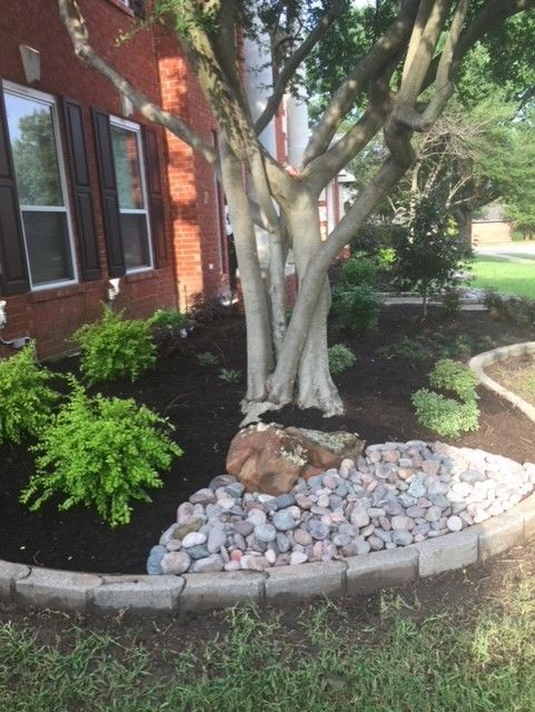Landscaped yard with a tree, rocks, and shrubs, edged with a gray border and dark mulch.