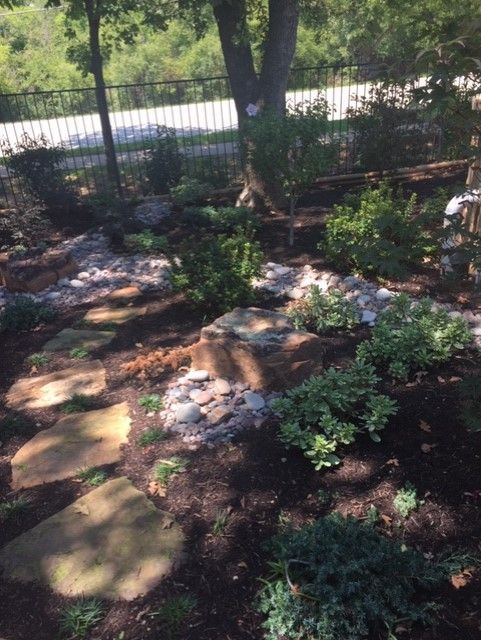 Stone pathway through a garden with plants, mulch, and a tree. A fence is in the background.
