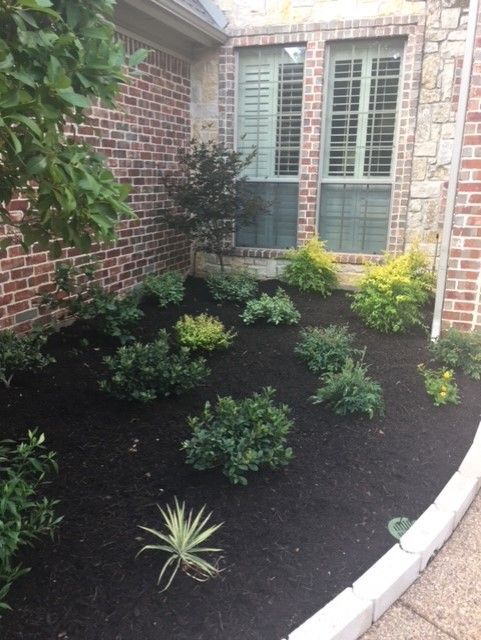 Landscaped garden bed with dark mulch, green shrubs, and a window with shutters.