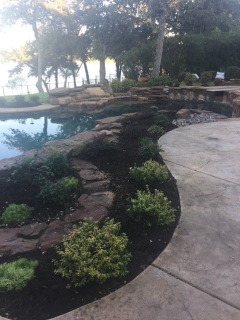 Poolside landscaping with stone edging, plants, and dark mulch.