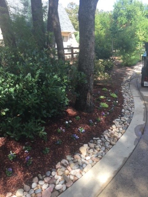 Landscaped garden bed with trees, mulch, small plants, and rock border next to a concrete sidewalk.