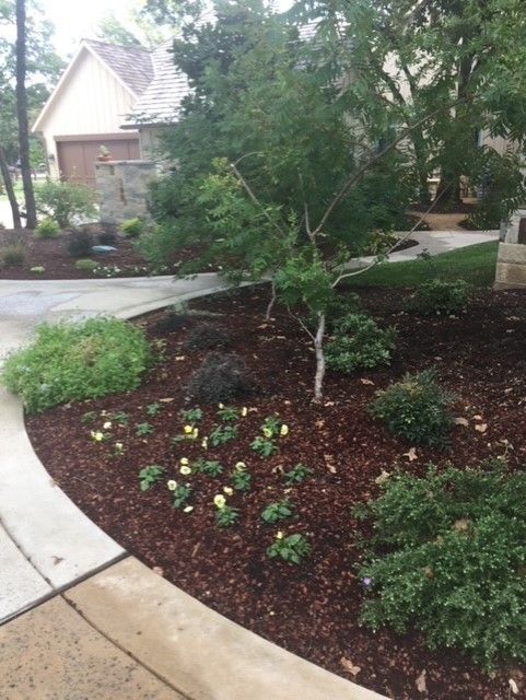 Landscaped garden bed with mulch, shrubs, small flowers, and a tree by a driveway.