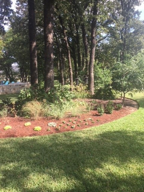 A landscaped garden bed with fresh mulch and various plants, in front of trees, on a lawn.