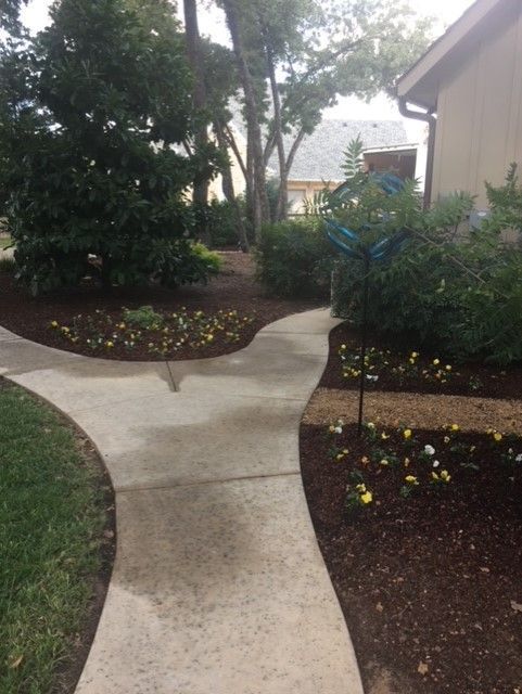 Concrete path splits, flanked by mulch beds with yellow flowers, a house, and trees.