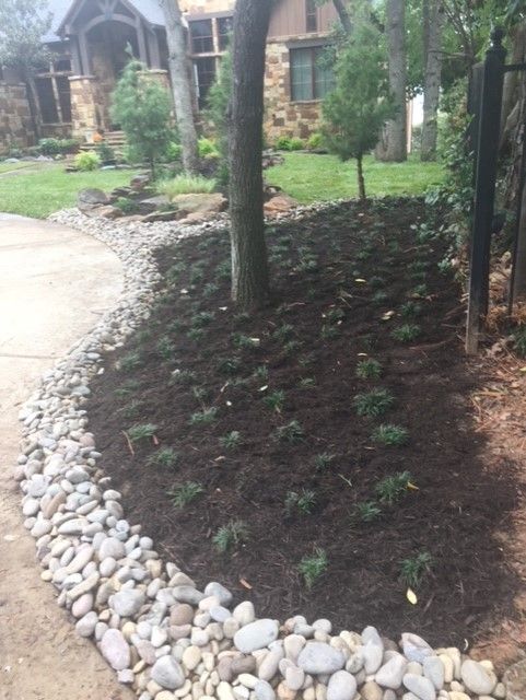 Landscaped yard with rocks bordering a driveway, mulch, small plants, and a tree. A house is in the background.