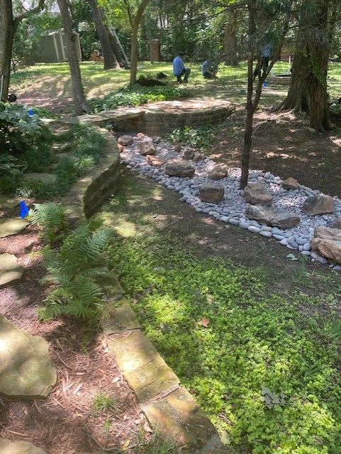 A garden with a stone pathway, a small creek bed with rocks, and trees in the background.