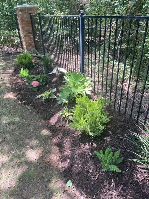 Garden bed with green plants and dark mulch beside a black fence and brick column.