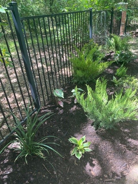 Black fence with a garden bed of green plants, set against a backdrop of trees.