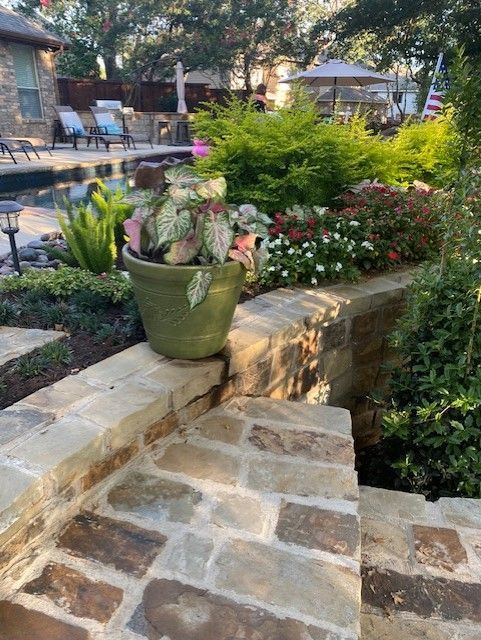 Stone steps leading to a garden bed with a green pot of pink-veined plants; pool and patio in the background.