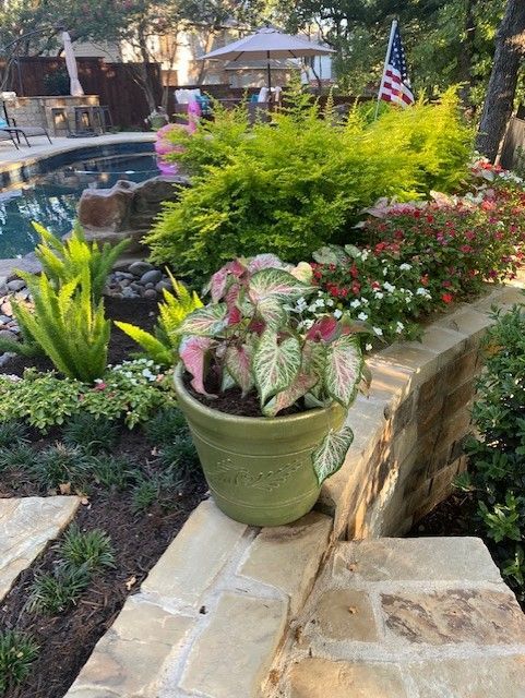 A garden with a pool, featuring a green potted plant with pink leaves, and colorful flowers.