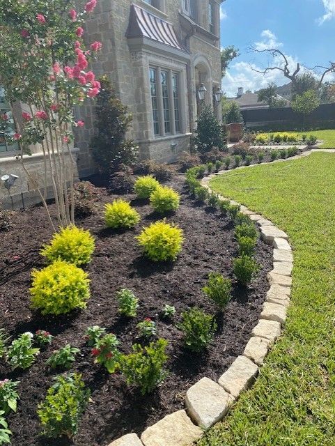 Front yard with manicured landscaping, including green and yellow shrubs, and a stone-bordered bed.