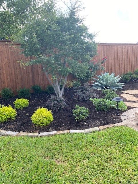 Garden bed with tree, shrubs, and succulents in front of a wooden fence; green grass and paving stones in foreground.