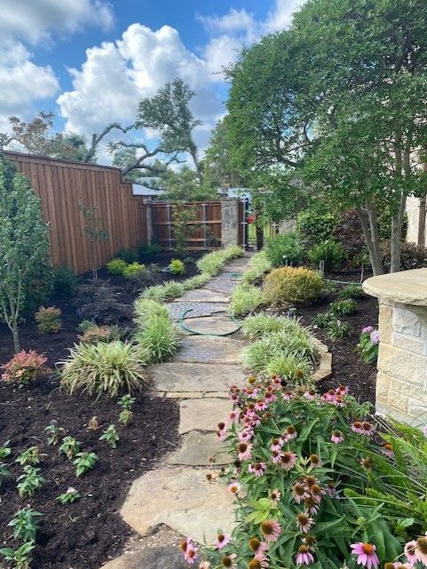A stone path winds through a garden with purple coneflowers, green foliage, and a wooden fence under a blue sky.