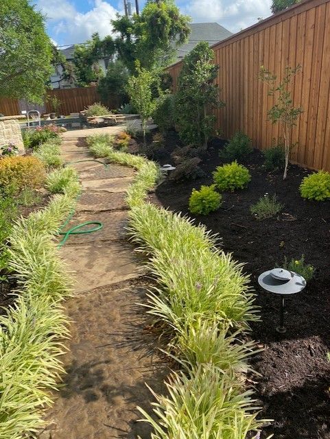 Stone path bordered by light green plants, leading through a garden with dark mulch and a wooden fence.