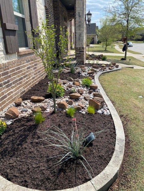 Lawn mower cutting a bright green lawn, with a row of evergreen trees in the background.