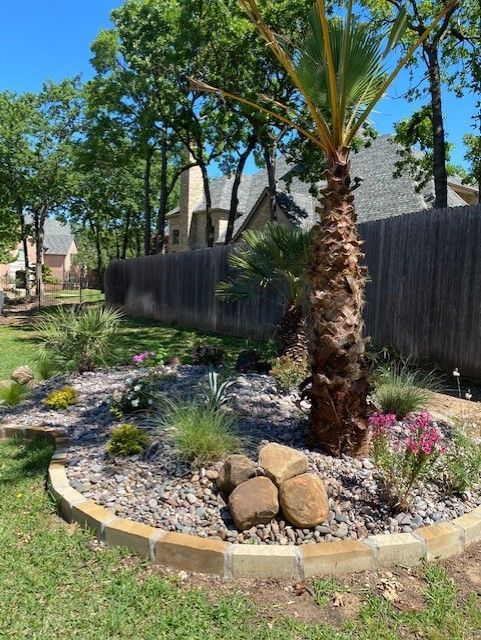 Backyard with a circular flower bed featuring a palm tree, rocks, and various plants, bordered by a stone edge.