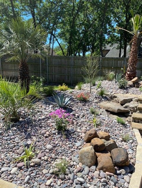 A rock garden with palms, succulents, and a small waterfall, against a wooden fence and trees.