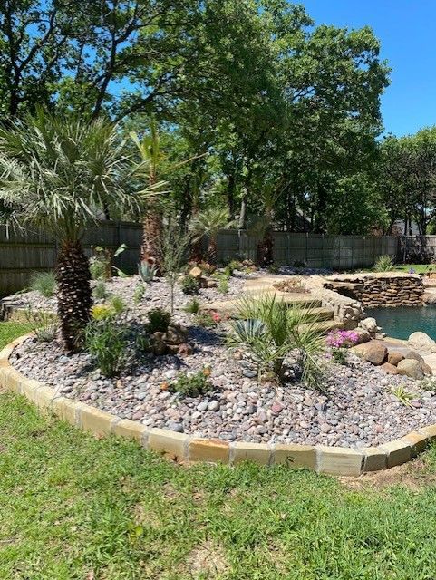 Landscaped yard with palm trees, rocky ground, and a pool on a sunny day.