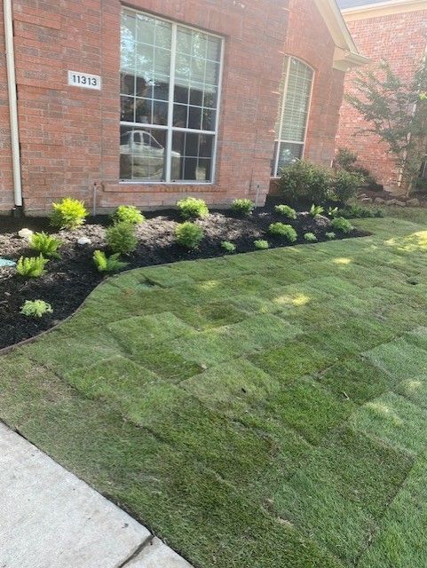 Freshly sodded lawn in front of a brick house with newly planted flower beds.