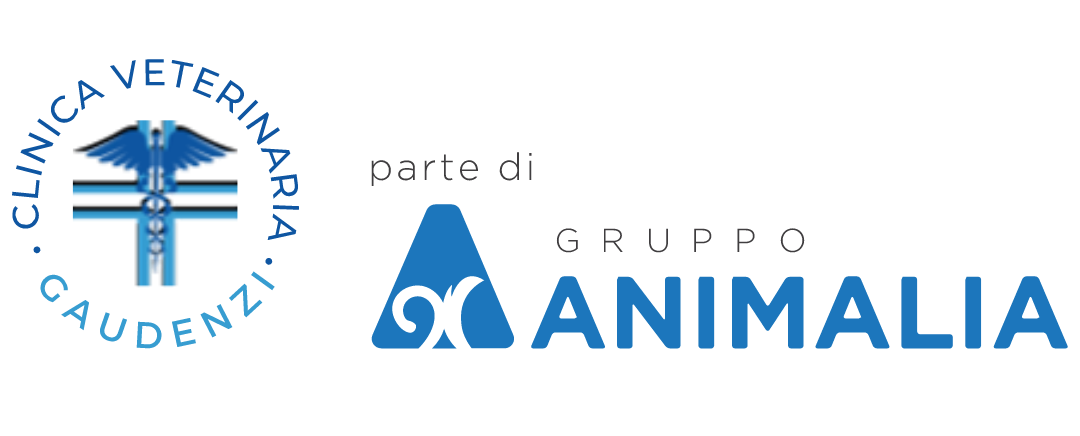 CLINICA VETERINARIA GAUDENZI-LOGO