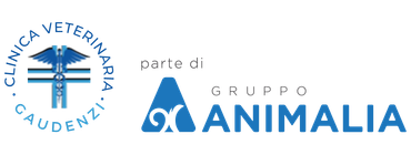 CLINICA VETERINARIA GAUDENZI-LOGO