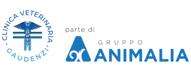 CLINICA VETERINARIA GAUDENZI-LOGO