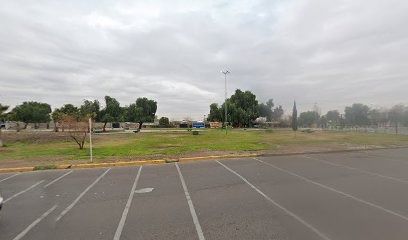 Estacionamiento abierto con espacios marcados, con vista a un parque con árboles y cielo nublado.