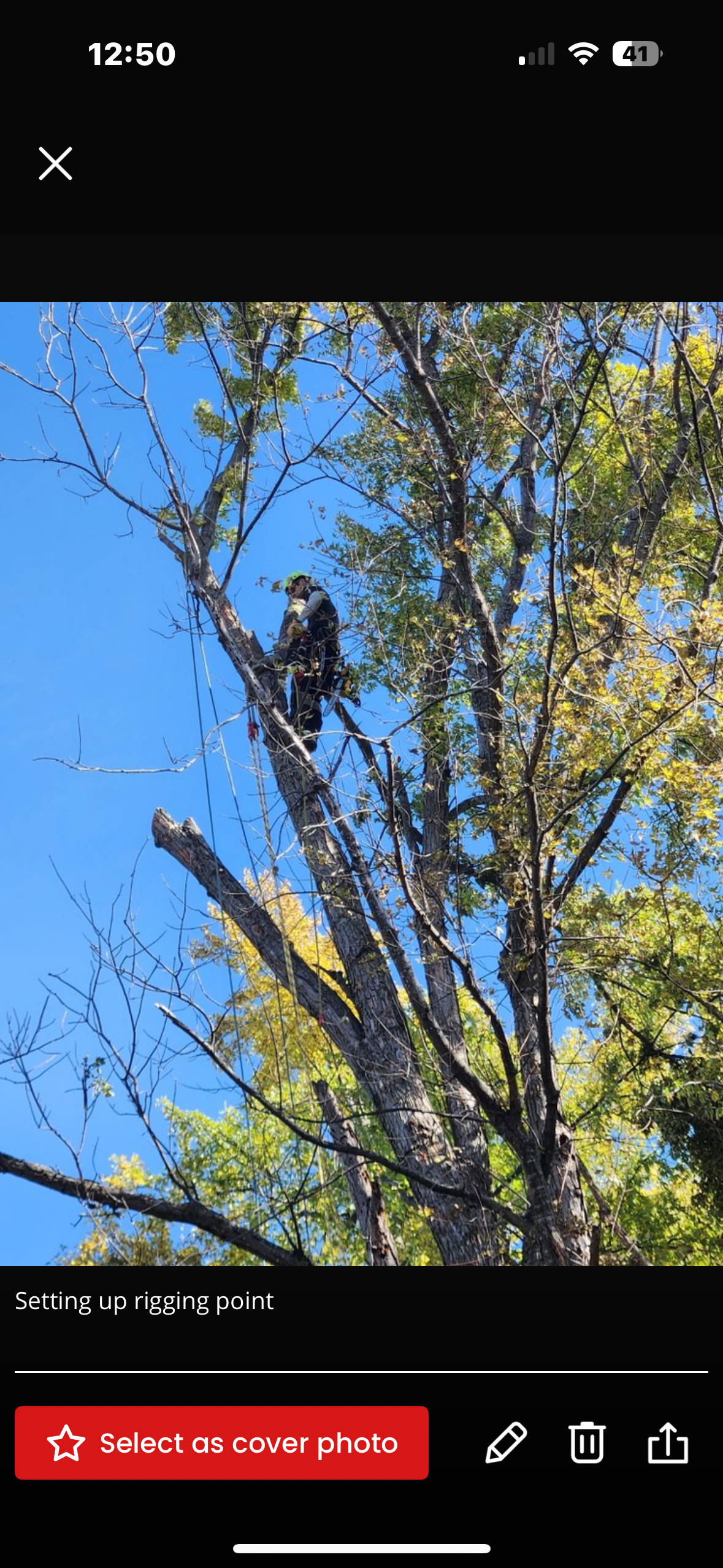 Gardener pruning a tree branch with pruning shears.