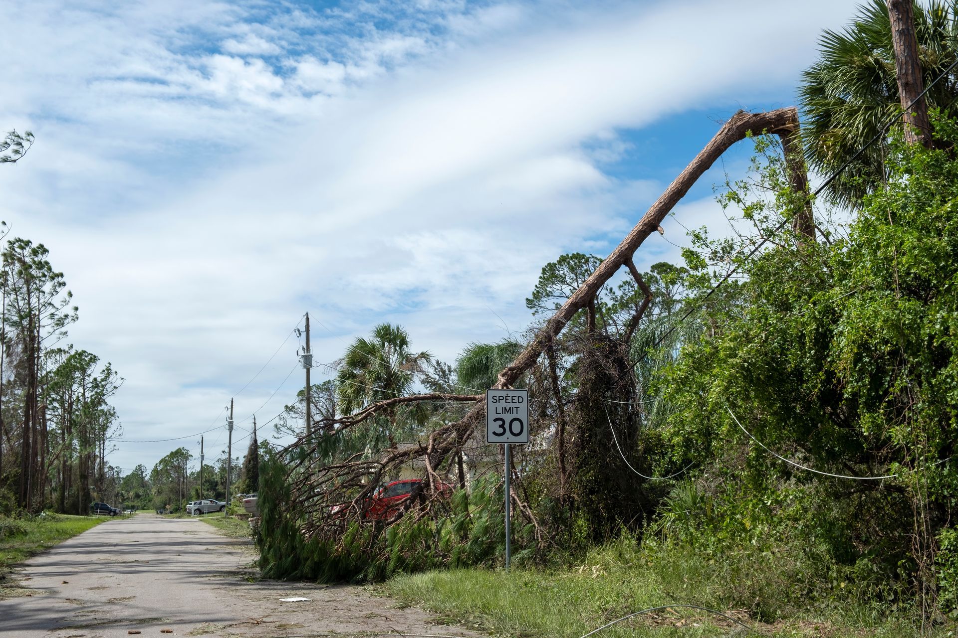 Arborist in orange suit cutting a large tree branch with a chainsaw.