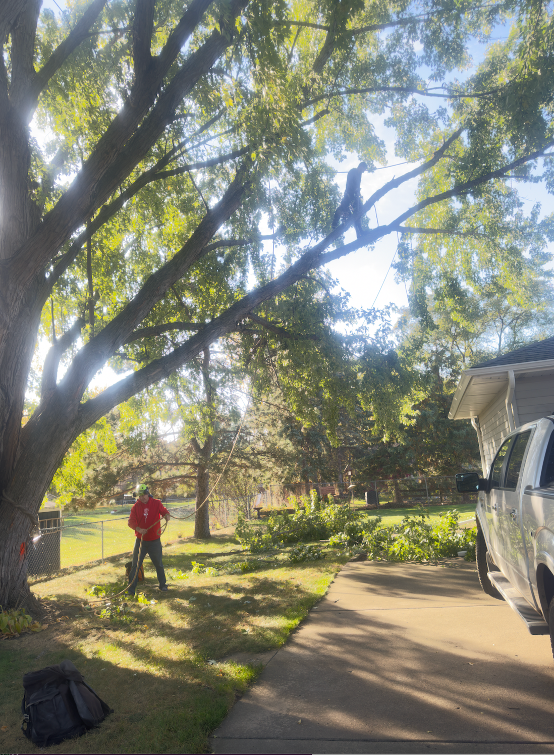 Arborist in orange suit cutting a large tree branch with a chainsaw.