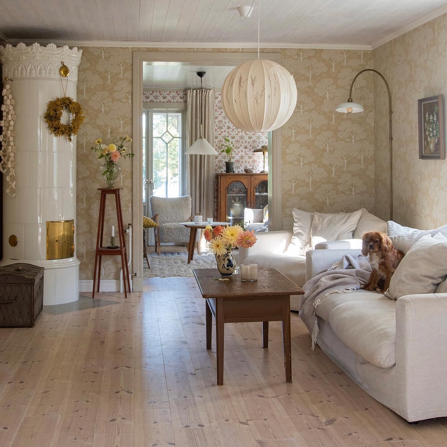 en hund sitter på en soffa i ett vardagsrum vid en kakelugn