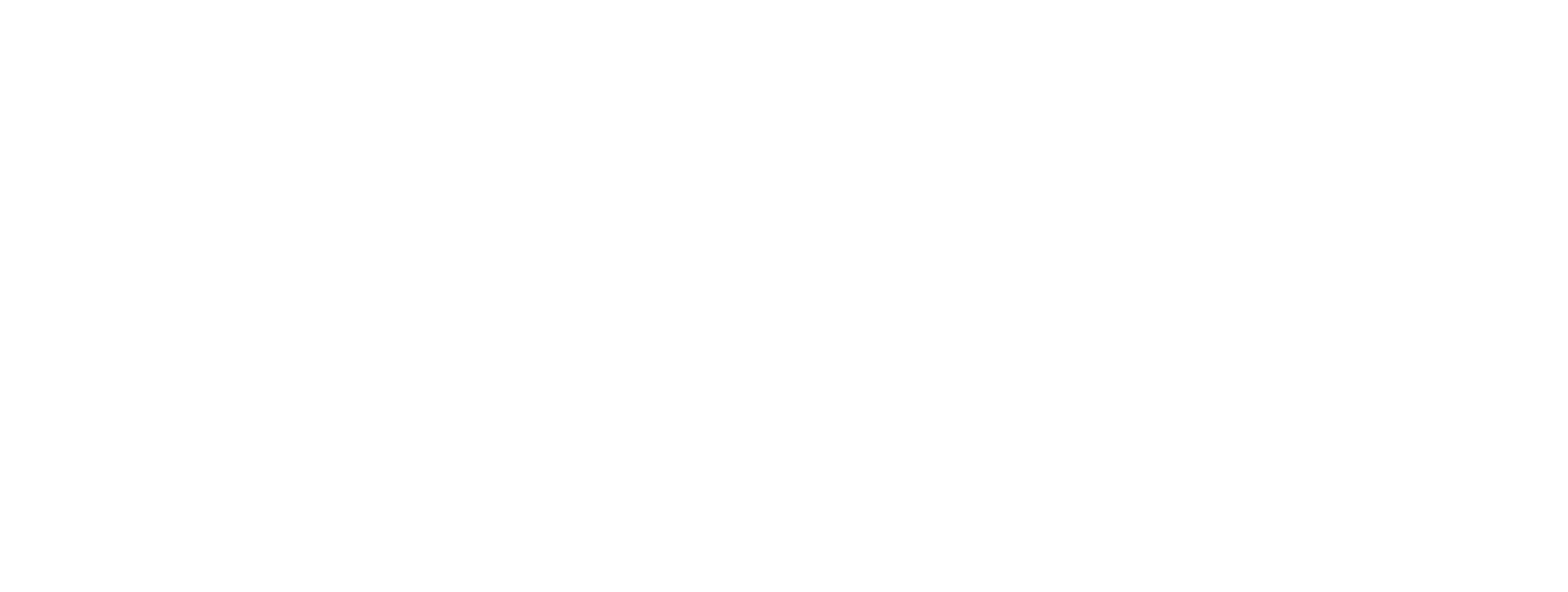 SteinerZ LLC alt logo