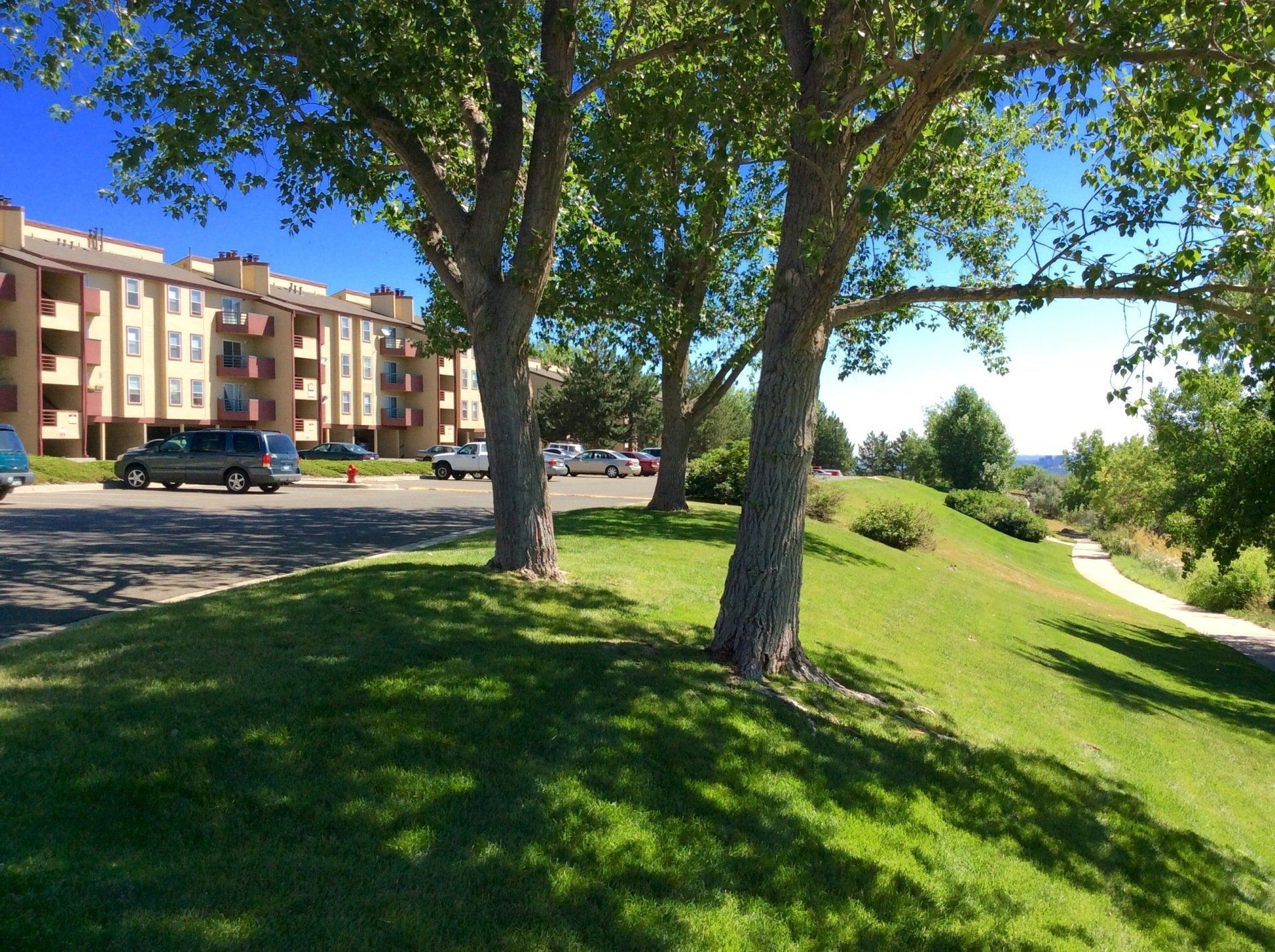 Interior photo of a houseplant on a table