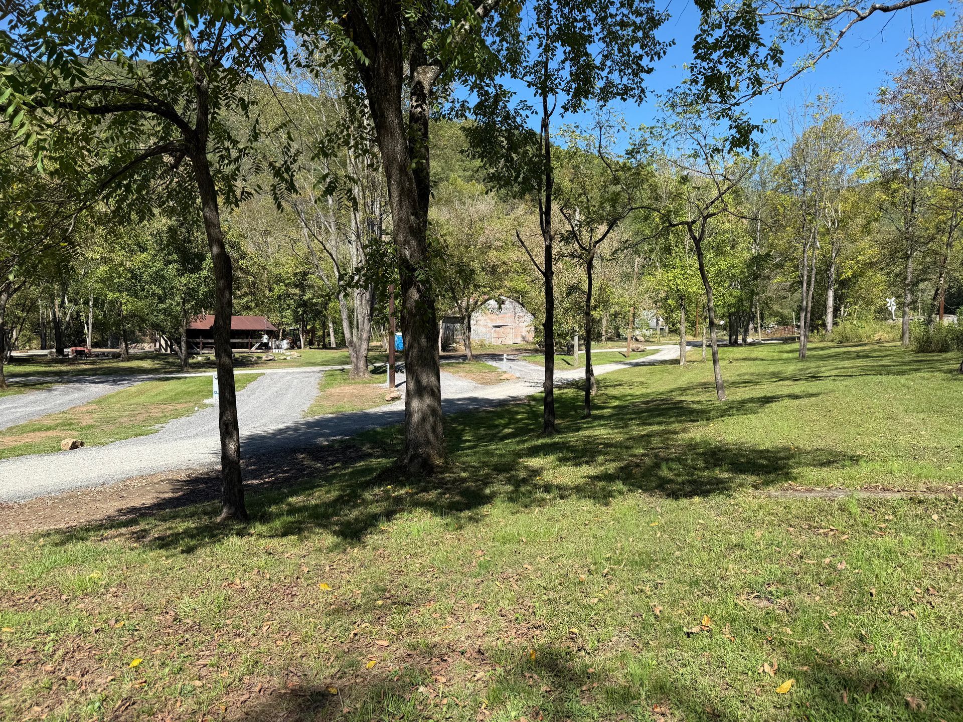 A grassy field with trees and a dirt road in the background.