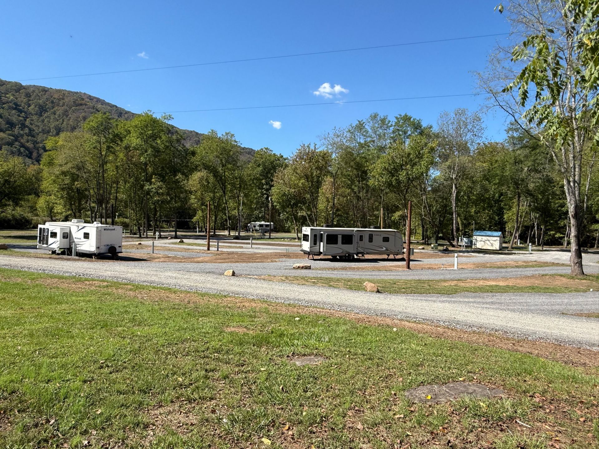 A row of rvs are parked in a campground with trees in the background.