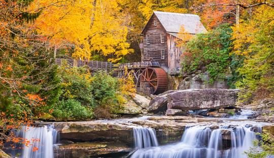 A water mill with a water wheel in the middle of a forest next to a waterfall.