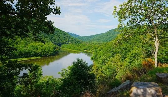 A river surrounded by trees and mountains in the middle of a forest.