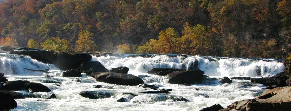 A river flowing through a forest with a waterfall in the background